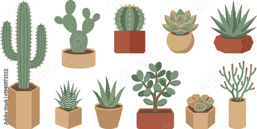 Geometric minimalist desert cacti succulents with saguaro prickly pear barrel cactus in dusty green sandy tan clay red for southwestern botanical branding design