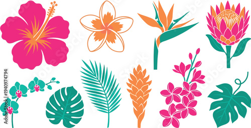 Vibrant tropical floral elements with hibiscus plumeria bird paradise protea in hot pink sunset orange lush teal for exotic botanical branding design