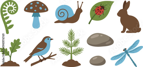 Woodland spring nature elements with fern mushroom snail ladybug rabbit in moss green earthy brown sky blue for natural forest branding design