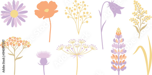Whimsical wildflower illustrations with daisy poppy baby breath bluebell goldenrod in soft lilac apricot pale yellow for romantic pastel branding design