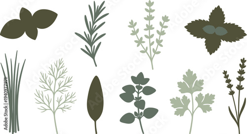 Minimalist herb silhouettes with basil rosemary thyme mint chive in dark olive slate green pale sage for cohesive herbal branding design