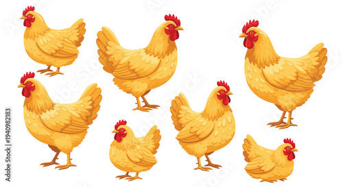 Seven golden yellow hens with red combs and wattles are depicted in various standing and sitting positions against a solid white background.