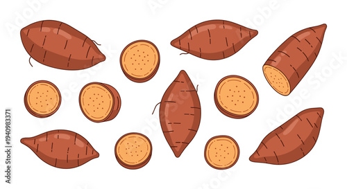 Eleven illustrations of whole reddish brown sweet potatoes and circular orange slices are scattered across a plain white background.