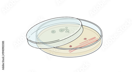 Scientific illustration of petri dishes showcasing microbial cultures and bacterial streaks on nutrient agar medium for laboratory analysis