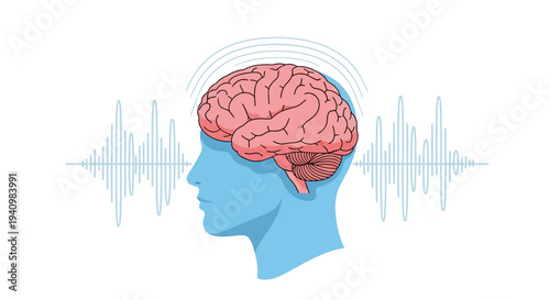 Human Brain Anatomy with Sound Wave Illustration