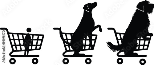 Diverse business team having productive meeting in modern sunlit office, professional collaboration, corporate teamwork, startup growth, brainstorming, success, workplace, cooperation