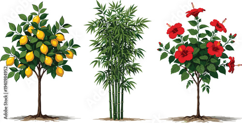 Professional young woman working on laptop at home office, remote work, digital nomad, business success, technology, productivity, workspace, lifestyle, communication