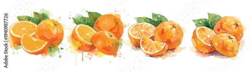 Watercolor orange citrus fruit collection with fresh slices and green leaf set