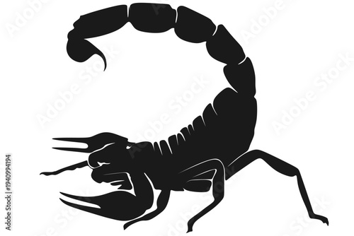 scorpion animal silhouette vector design eps 3
