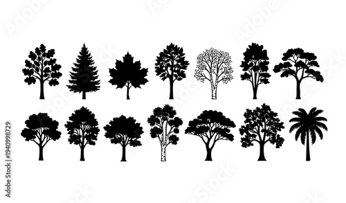Collection of different tree silhouettes vector set with oak pine maple birch and palm isolated on white background