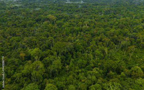 High-resolution aerial view of the Peruvian Amazon rainforest featuring an immense canopy of towering tropical trees and dense jungle vegetation stretching endlessly toward the horizon