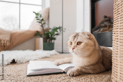 Cute cat and book near fire...
