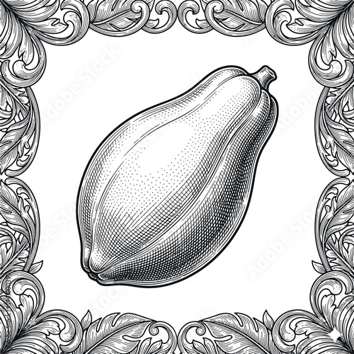 vector illustration of an abstract floral background papaya