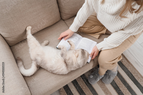 Young woman with cute cat r...