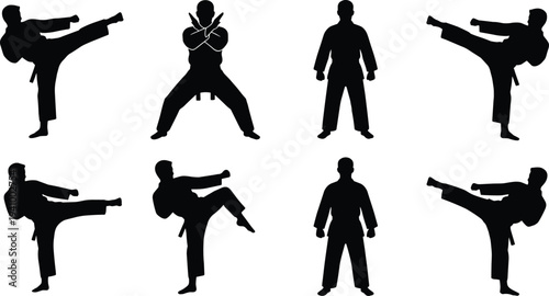 Karate martial arts fighter silhouettes performing high kicks combat stances and training poses isolated on white background sport illustration
