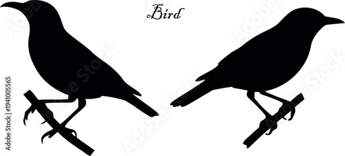 Two black silhouettes of birds perched on branches facing right