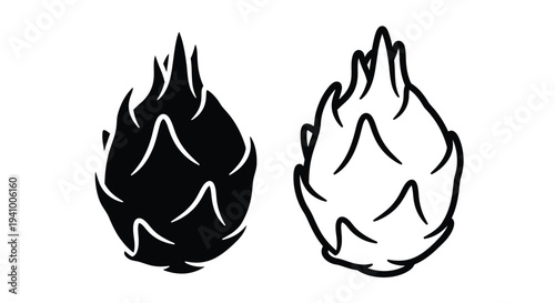 Two dragon fruit illustrations one black and one white side by side