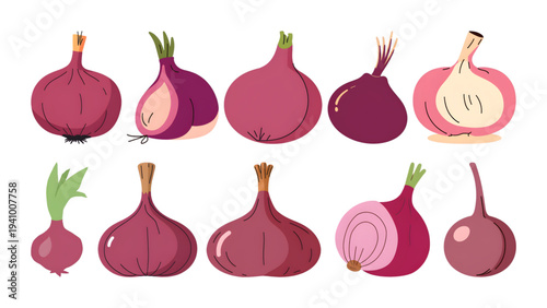 red onion vector illustration set