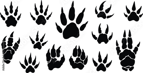 Animal paw print silhouettes, black vector footprints of wild and domestic species, isolated icons for tracking, wildlife education, pet design, nature art