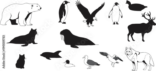 Arctic and polar animal vector illustration, wildlife silhouettes including polar bear penguin wolf eagle seal walrus dolphin deer, nature design artwork collection