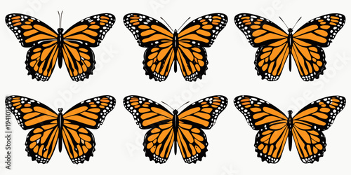 Six monarch butterflies displayed in various symmetrical poses on a white background