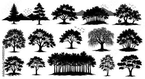 Silhouettes of various trees and mountains with birds flying