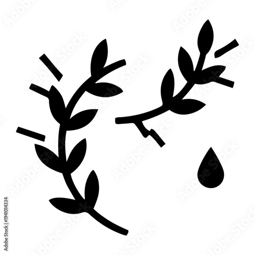 Stylized illustration of thyme sprigs with a drop, representing herbs and natural essences