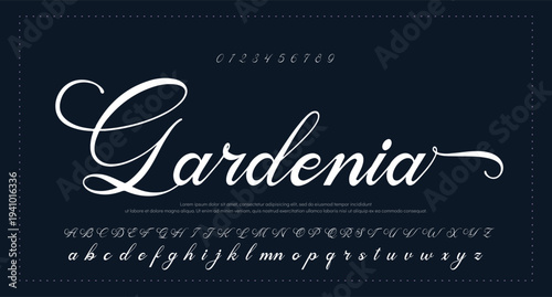  Signatures Handsaw Brush Script Logotype Font lettering handwritten 