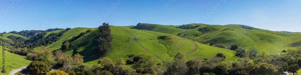 Ταπετσαρία Wide panoramic landscape of rolling green hills under a clear blue sky