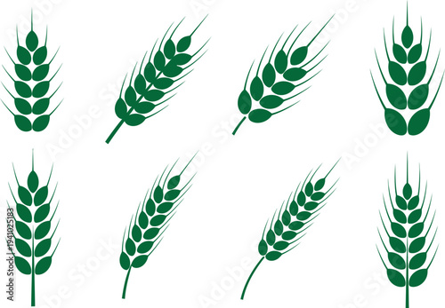 Eight green wheat ears on white background illustration