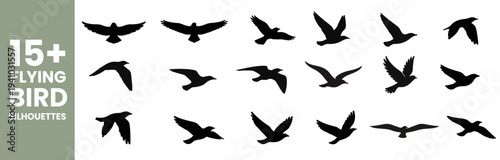 Set of Black Flying Bird Silhouettes, Vector Bird in Flight Icons, Perfect for logo design, nature-themed projects, tattoos, and minimalist graphic art.