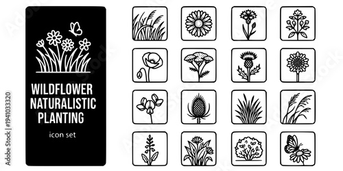 Wildflower Naturalistic Planting Bold Line Icons-Meadow Grass Ox-Eye Daisy Cornflower Poppy Yarrow Knapweed Teasel Field Scabious Prairie Perennial-15 Wildflower Icon Set Vector - Naturalistic Plantin