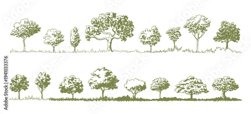 Front View Trees and Plants Icon Set Vector Illustration, Landscape Vegetation Symbols for Architectural Drawings, Floor Plans, Urban Planning, Garden Design, and Landscape Architecture Projects