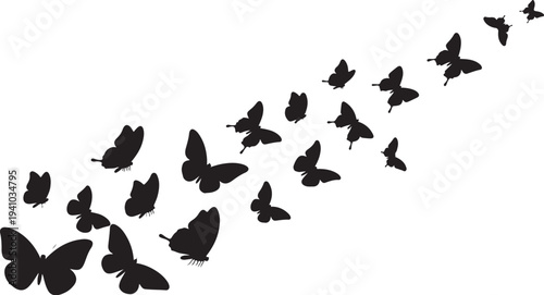Flock of Black Butterflies Flying in Formation Together