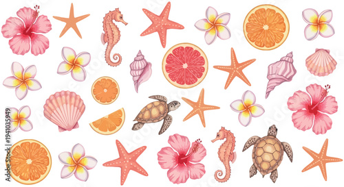 Vibrant Summer Tropical Vector Art Collection Featuring Seashells, Starfish, Seahorses, Hibiscus Flowers, Frangipani, and Citrus Slices