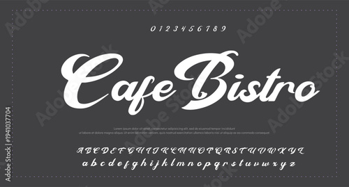 Elegant Signature Font. Best Alphabet Beautiful Calligraphy Signature Font