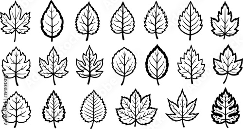 Black and White Line Art Collection of Various Leaf Silhouettes - Nature and Autumn Theme