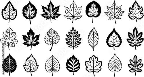 Nature Botanical Leaves Black and White Line Art Icons Set. Diverse Tree Foliage Vector Glyphs and Silhouettes Collection.