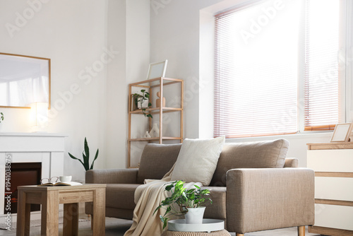 Interior of light living ro...