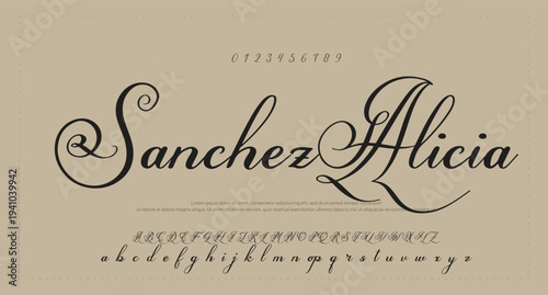 Hand drawn vector alphabet. Modern monoline signature script font. Elegant Signature Font. Best Alphabet Beautiful Calligraphy Signature Font 