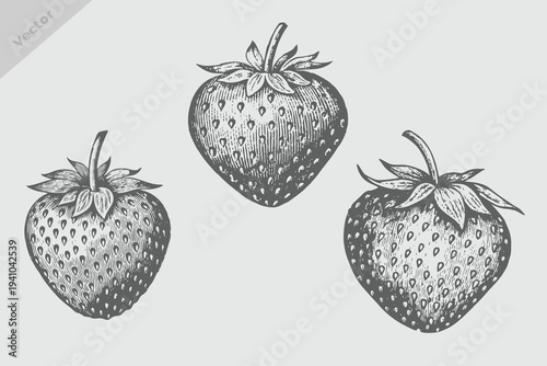Hand drawn fruit strawberry vintage engraving style fruits and berries set, vector illustration