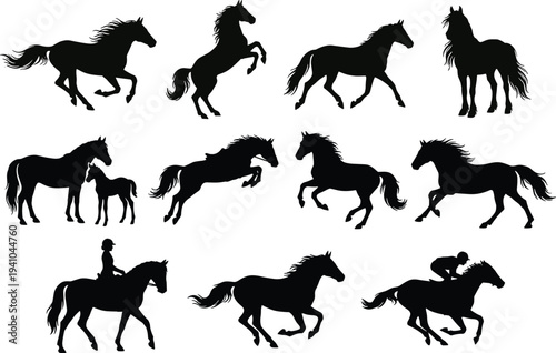 Horse silhouette set with running jumping rearing mare foal and rider poses isolated vector illustration for equestrian sport design