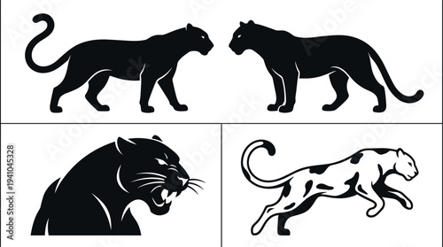 Black Panther Silhouette Collection with Walking Roaring and Jumping Wild Cat Predator Vector Illustration Set Isolated on White Background