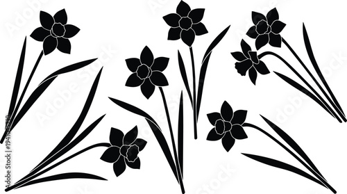 Daffodil flower silhouette set spring narcissus botanical plants with leaves and blossoms vector illustration isolated on white background