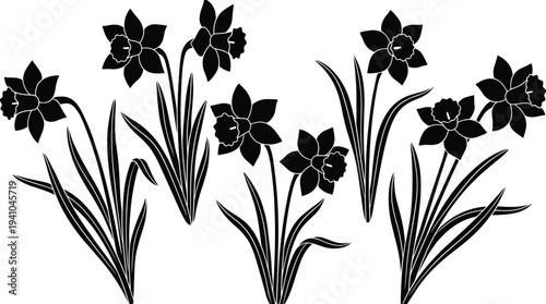 Daffodil flower silhouettes collection botanical spring narcissus plants with leaves and blossoms vector illustration isolated on white background