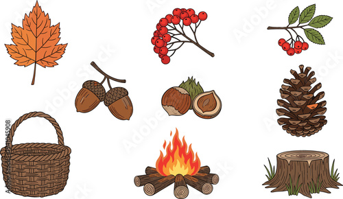Autumn Forest Elements Vector Set with Maple Leaf, Acorns, Pinecone, Berries, Campfire, Basket and Tree Stump Fall Nature Illustration