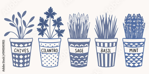 Five potted herbs chives cilantro sage basil and mint displayed