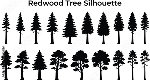 Redwood Tree Silhouette Set with Various Pine Cedar and Forest Trees Vector Nature Illustration Collection Isolated Design