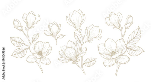 Illustration of flowers and buds on stems with leaves from various viewpoints