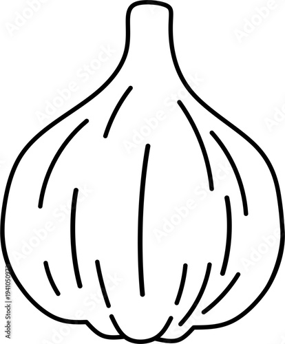 Simple garlic drawing